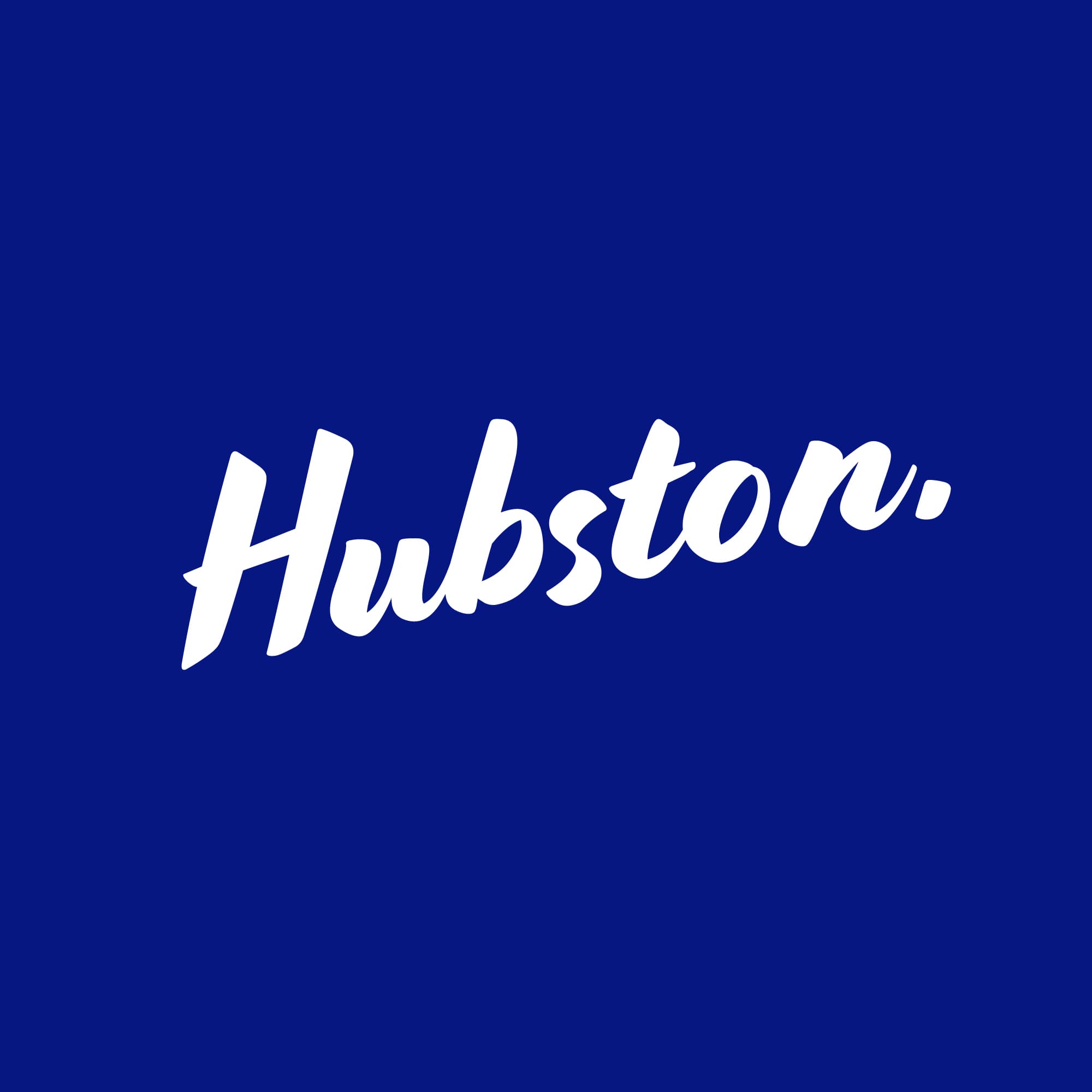 Hubston Fries